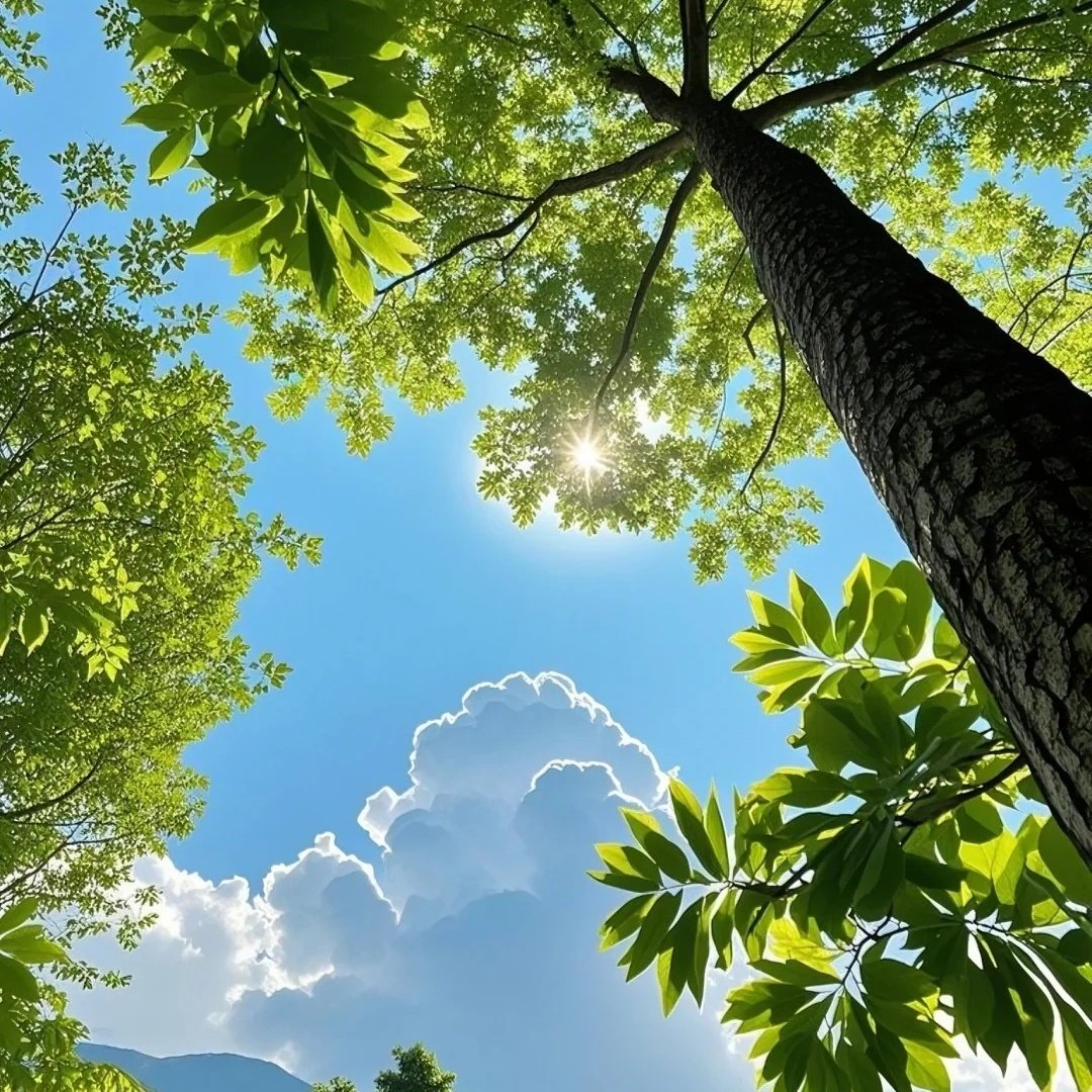 曲阜东方儒家花园酒店(三孔景区店)住宿+曲阜三孔景区成人门票