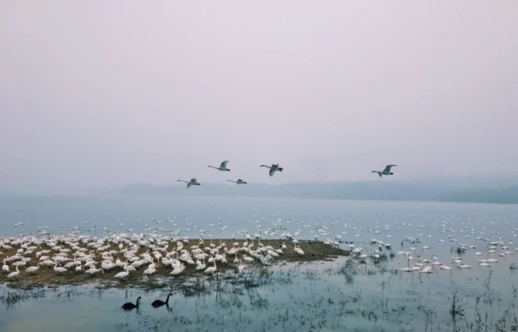 青龙湖图片