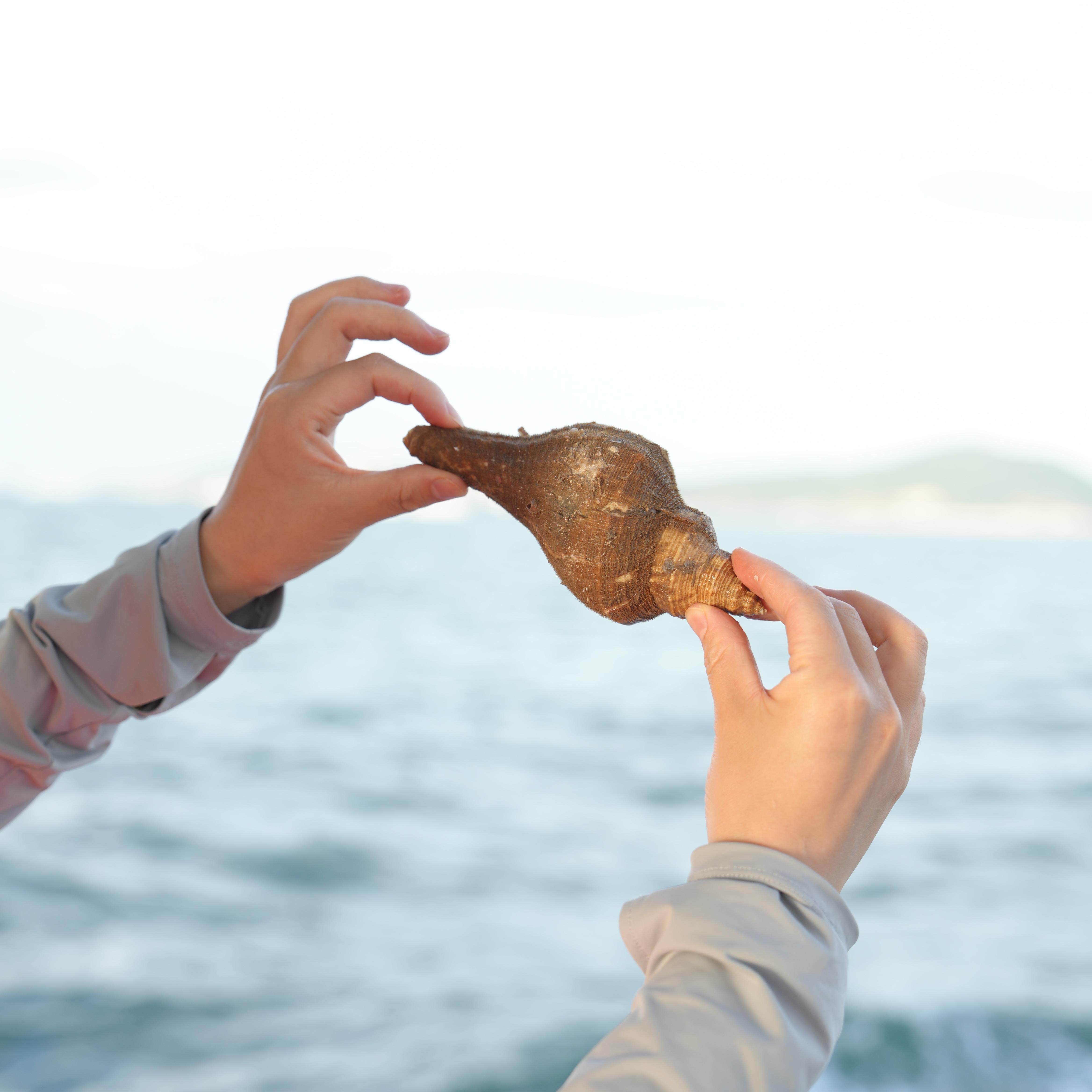 舟山嵊泗列岛岛上原住民带您游嵊泗|含车兼导+沈家湾码头单程船票 - 定制游预订