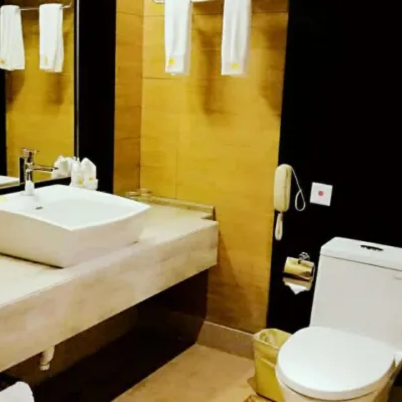 D2天1晚海南保亭黎族苗族自治县海南保亭戴斯温泉酒店自由行+茶溪谷门票单人酒景套餐