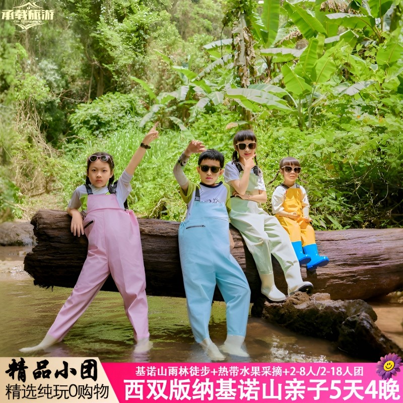 2-8人团西双版纳5天4晚跟团游基诺山徒步野象谷森林公园云南旅游 - 定制游预订