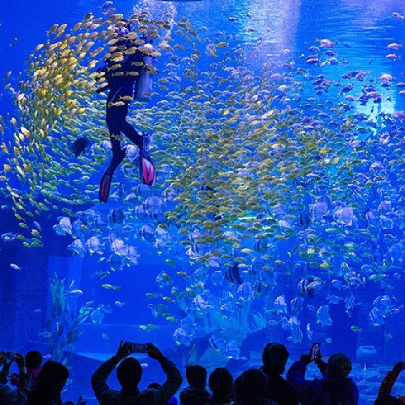 昆明滇池融创施柏阁酒店2天1晚+早餐+热雪奇迹3小时滑雪/海世界/晚餐3选1