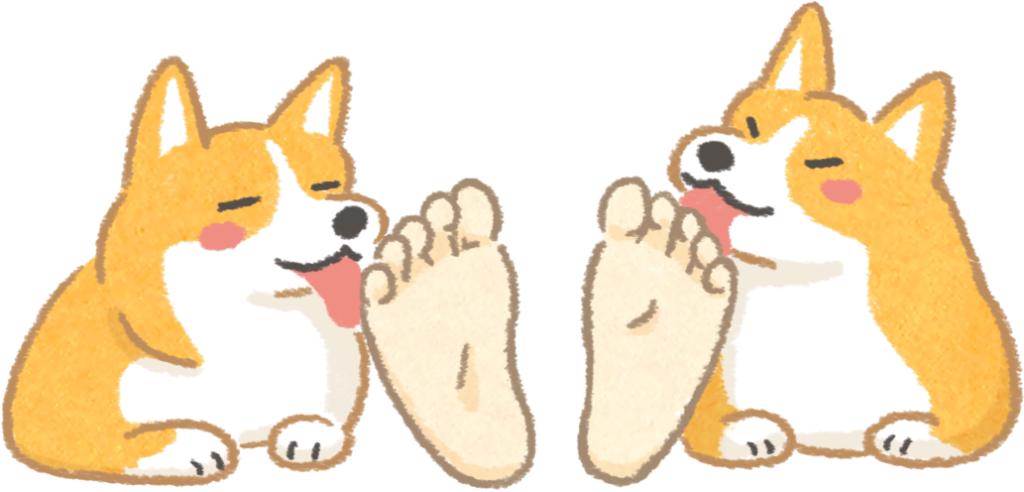 为什么狗狗爱舔你的臭脚丫,原来是这样的 - 美优享 - 美丽优品分享好