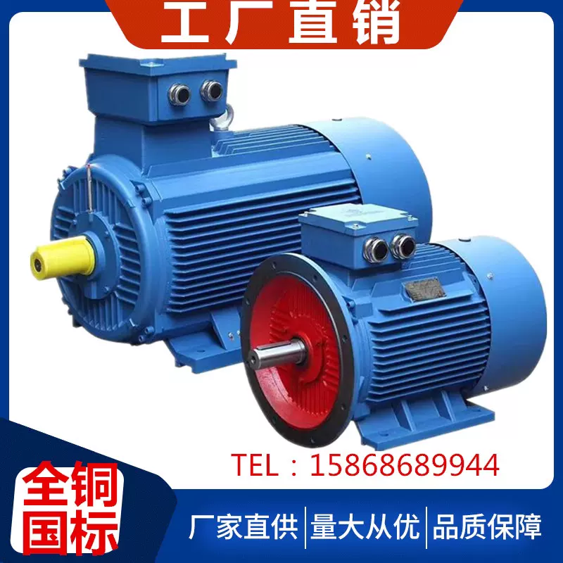 Y Series Three-Phase Induction Motor Y Series Three-Phase, 46% OFF