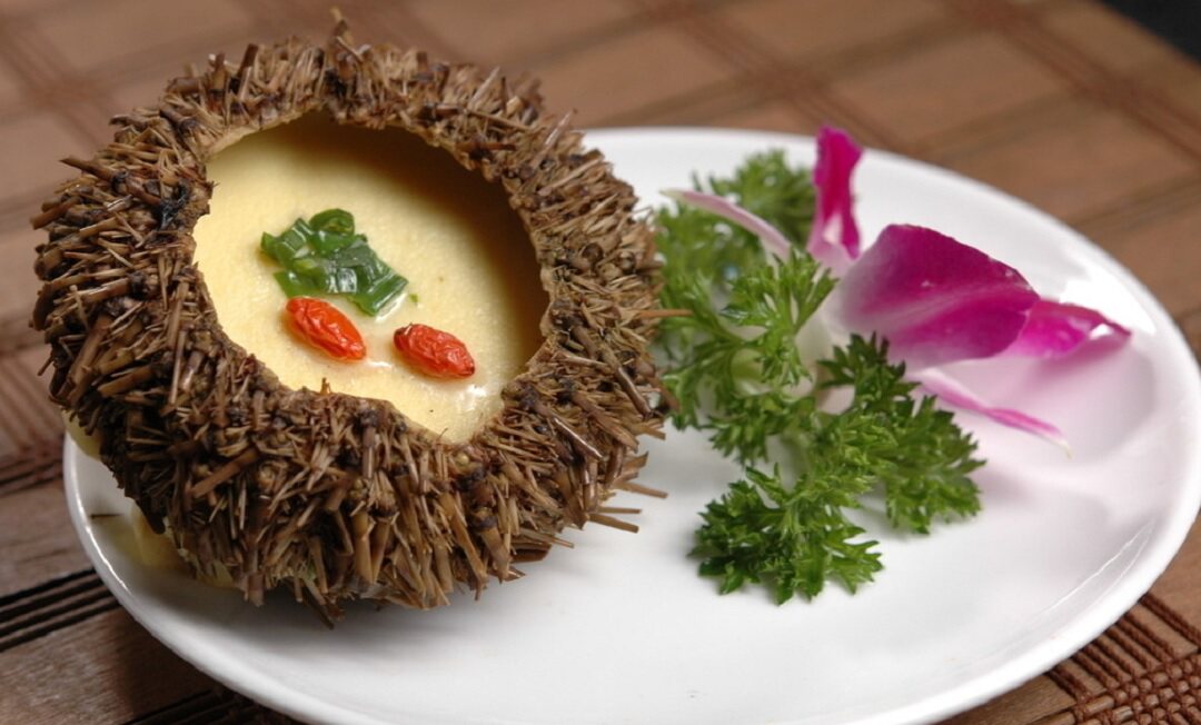 海胆,刺头灵魂下,世上最美味的舌头 - 美优享 - 美丽优品分享好站