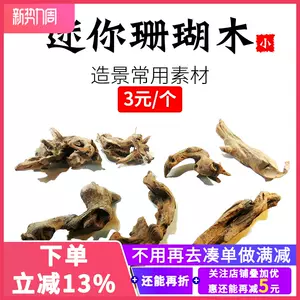 empty phoenix grass Latest Top Selling Recommendations | Taobao