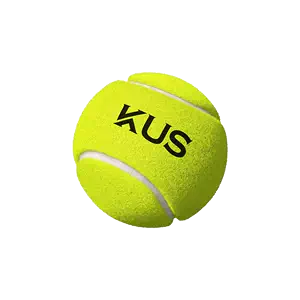 tennis competition dedicated Latest Top Selling Recommendations, Taobao  Singapore, 网球比赛专用最新好评热卖推荐- 2024年2月