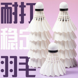 Aimetime Badminton Official Durable Goose Feather Shuttlecock for Training and Professional Competition, Super Durable Group Purchase Model