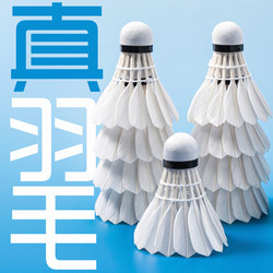 Aimetime Genuine Goose Feather Badminton Shuttlecock, Durable for Training, Professional Flight Stability, Practice, Entertainment, Indoor and Outdoor Use