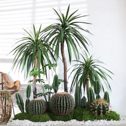 Artificial Long-Leaf Agave Green Plant Cactus Large Floor-Standing Tropical Fake Plant Shop Window Landscape Decoration
