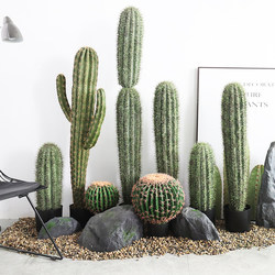 ins Nordic-Style Artificial Cactus with Thick Stems, Fake Cactus for Tropical Desert Window Display Greenery