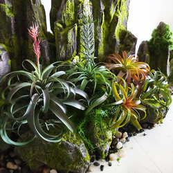 Artificial Air Plant Greenery Tropical Fake Grass Shop Window Succulent Plants Corner Forest Rainforest Scenery Decoration
