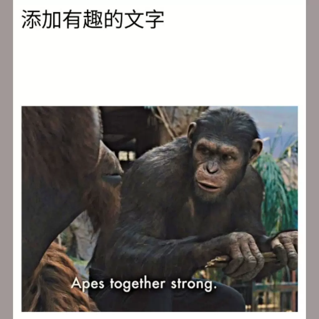 你到底是谁 Meme Watch The Latest
