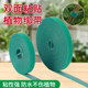Plant straps, climbing vines, plant-shaped Velcro, double-sided gardening sticky straps, flower fixed tie support ties