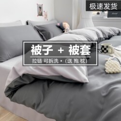 Silk Cotton Quilt with a Quilt Cover, Warm Summer Quilt, All-Season Air Conditioning Quilt, Dormitory Double Quilt, Spring and Autumn Quilt Core, Winter Quilt, Student Single Quilt