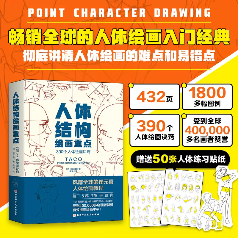 人体结构绘画重点崔元喜人体解剖绘画教程书籍北京科技出版社出版