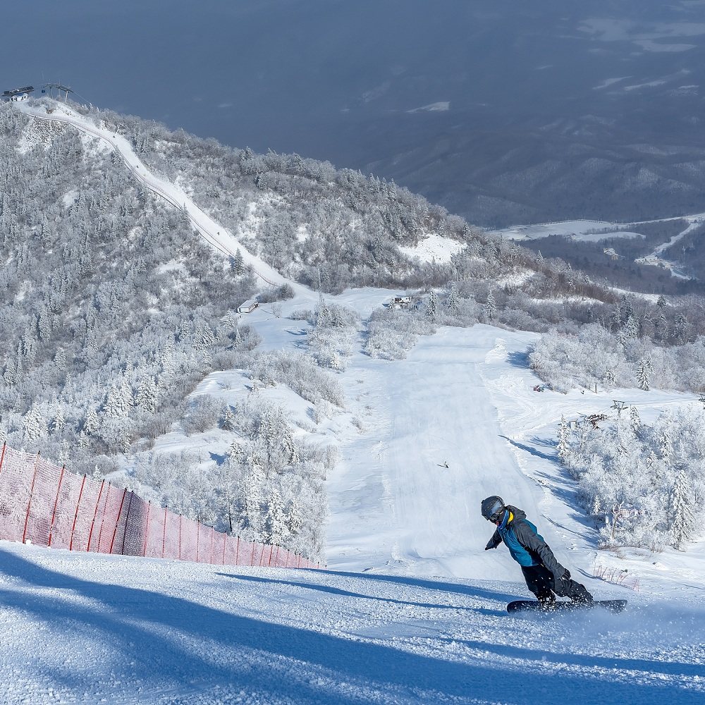 纯玩0购物 6人团 哈尔滨雪乡亚布力滑雪冰雪大世界5日游 2人起订