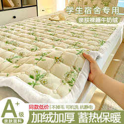 2025 New Milk Velvet Quilted Mattress, Thickened for Winter, 180×200cm, Home Bedroom Double Coral Velvet Soft Cushion