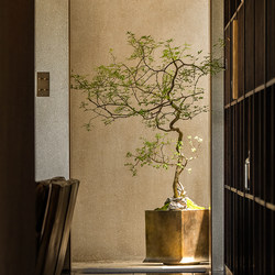 Simulated Green Plants, Indoor High-End Light Luxury Huangjing Tree, Artificial Plants, Fake Trees, Floor-Standing Potted Plants, Real Tree Trunk Decorative Ornaments