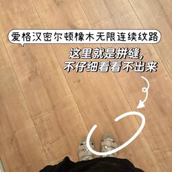 German Egger Epl103 Hamilton Oak Continuous Grain Wear-Resistant and Environmentally Friendly 8mm Reinforced Composite Home Floor