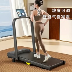 Flat Treadmill for Home Use, Small Indoor Gym, Silent, Foldable, Electric Climbing and Walking Machine for Home Use