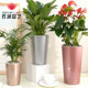High bucket flower bucket simple pattern home floor-standing high-waisted orchid device self-absorbing water storage lazy pothos flower pot