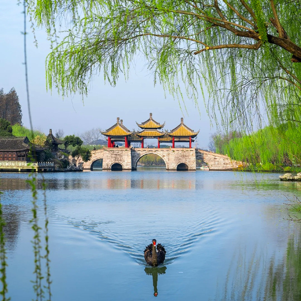 25人小团扬州瘦西湖个园+南京牛首山总统府3日跟团游双城园林古街