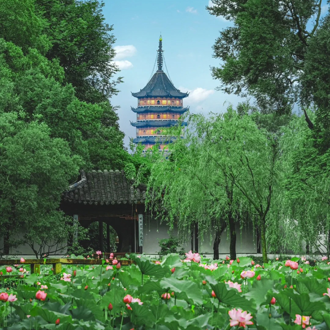 头等舱18人|南京+苏州+杭州+乌镇周庄5日跟团游5钻酒店/南山竹海