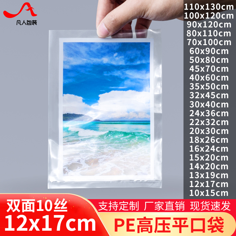 10 ũ PE ÷  12*17CM β μ ũ   ǰ      100 -