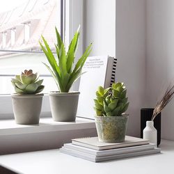 Nordic Artificial Green Plants, Bonsai, Fake Flowers, Artificial Flowers, Indoor Decorations, Desktop Ornaments, Simulated Succulent Small Potted Plants