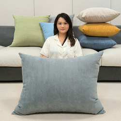 2025 New Sofa Cushion Cover, Popular Online, Living Room Sofa Pillow, Backrest Cushion, Cushion Cover, Pillow Without Insert