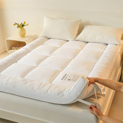 Feizi Ma 2024 Autumn/Winter New Thickened 8cm Mattress Pad Soft Cushion Bed Cover Dormitory Tatami Mattress