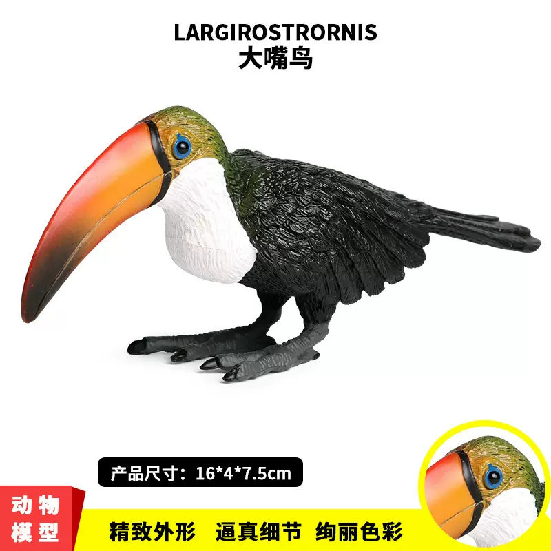 巨嘴鸟玩具大嘴鸟鸟类模型仿真实心硬胶儿童摆件