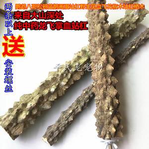 
See blood flying station bar thrush stick wooden bird bar perch stick station stand bird and bird cage supplies parrot supplies