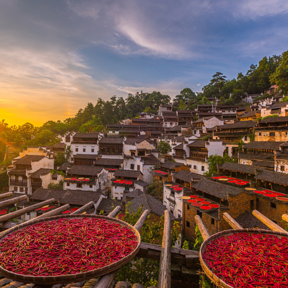 2-6江西私家团 景德镇婺源望仙谷三清山4天3晚纯玩游 全程4钻酒店