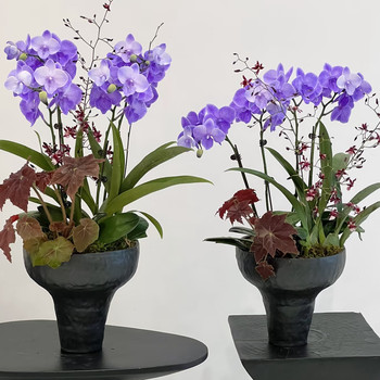Simple flowerpot Cymbidium orchid Phalaenopsis Large diameter high-end flower pot plant potted tall bonsai Internet celebrity flower pot