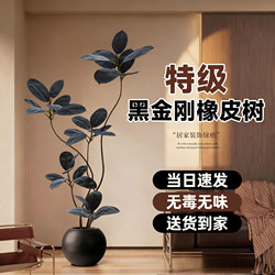 Medieval-Style Simulated Green Plant Black Diamond High-End Living Room Decoration Floor-Standing Ornament Indoor Large Artificial Green Plant Potted Plant