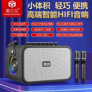 
Magic Sound Box K16 New Upgraded Version High Power Portable Outdoor Playing and Singing Instrument Bluetooth Speaker with Up and Down Tuning