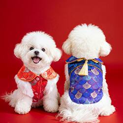 Clothes for Pets, New Year, Spring Festival, Embroidered Dog Clothes, Cat Winter Tang Suit, Cotton-Padded Leash Clothing, Festive Clothes for Bichon Frise