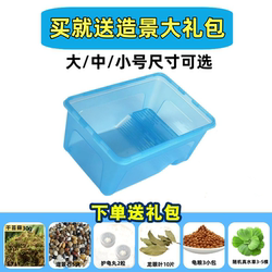 Turtle tank with drying platform Brazilian turtle turtle raising box