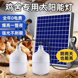 Chicken Coop and Nest Building Light, Super Bright Solar Garden Light, Outdoor Light, Waterproof, Rechargeable, One-To-Two Split Type