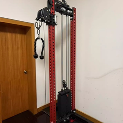 Single-Sided Bird Training Device, High-Low Pull Integrated Machine, Stainless Steel Counterweight, Column Color Optional