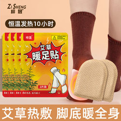 Warm Foot Pads, Heated Insoles, Self-Heating Foot Warmers, Foot Pads for Men and Women, Foot Warmers for Winter, Foot Warming Artifact