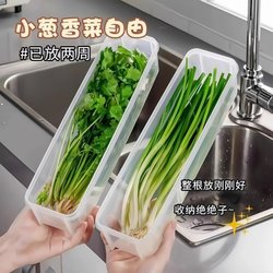 Food-Grade Preservation Box for Green Onions, Cilantro, Coriander, Whole Ginger, Garlic, Noodles, and Eggs, Specifically for Refrigerator Storage