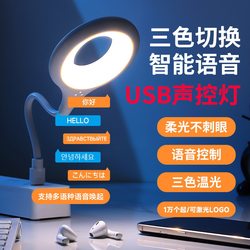 Smart Voice Night Light, Talking Switch, Voice-Activated Light, USB Lighting, Bedside Lamp, Led Lamp, Eye Protection Lamp, Student Lamp