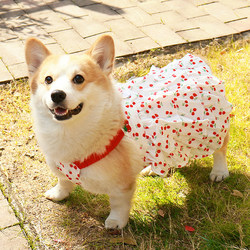 Corgi, Shiba Inu, Bichon, Teddy Dog Clothes, Spring and Summer Thin Princess Suspender Dress, Anti-Shedding, Sun Protection Vest, Breathable