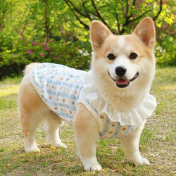 Shiba Inu, Corgi, Dachshund Dog Cool Clothes, Spring and Summer Thin Vest, Cute and Beautiful, Anti-Shedding, Anti-Dirt, Sun Protection