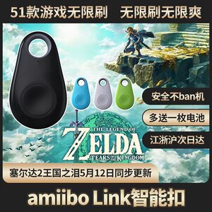Tears of the Kingdom of Zelda Kingdom AMIIBO smart card keychain simulator Cerida AMIIBO wilderness
