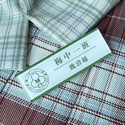 【See Spring】Wei Qingyue Jiangdu Novel-Themed Brooch, Student Backpack Pen Case Pendant, Class Badge