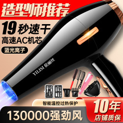 German electric hair dryer For Home big wind negative ion hair salon Barber Shop cold and hot wind speed dry does not hurt hair mute tube